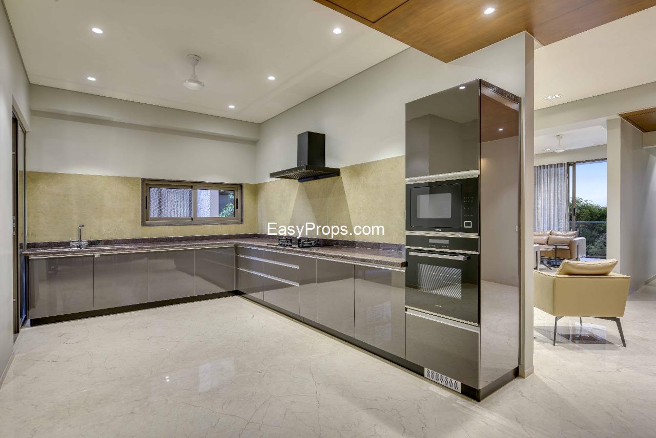 unnamed (4)_20250225173823804.jpg